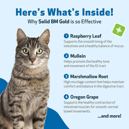 Pet Wellbeing BM Tone-Up Gold for Dogs & Cats - Supports Healthy Digestive Function, Solid Stools