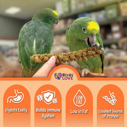 Birds LOVE Wholesome & Lovely Spray Millet Non-GMO (No Stems Only Edible Tops) for Parrots Birds