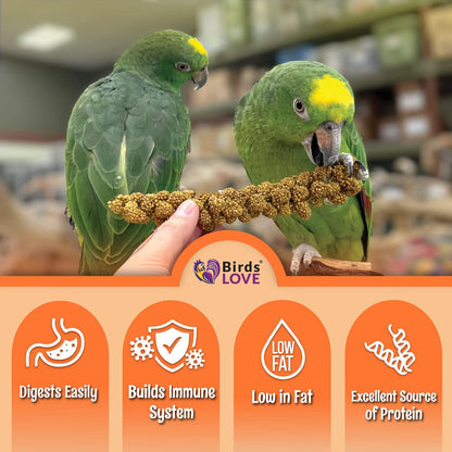 Birds LOVE Wholesome & Lovely Spray Millet | GMO Free (No Stems Only Edible Tops) for Parrots Birds