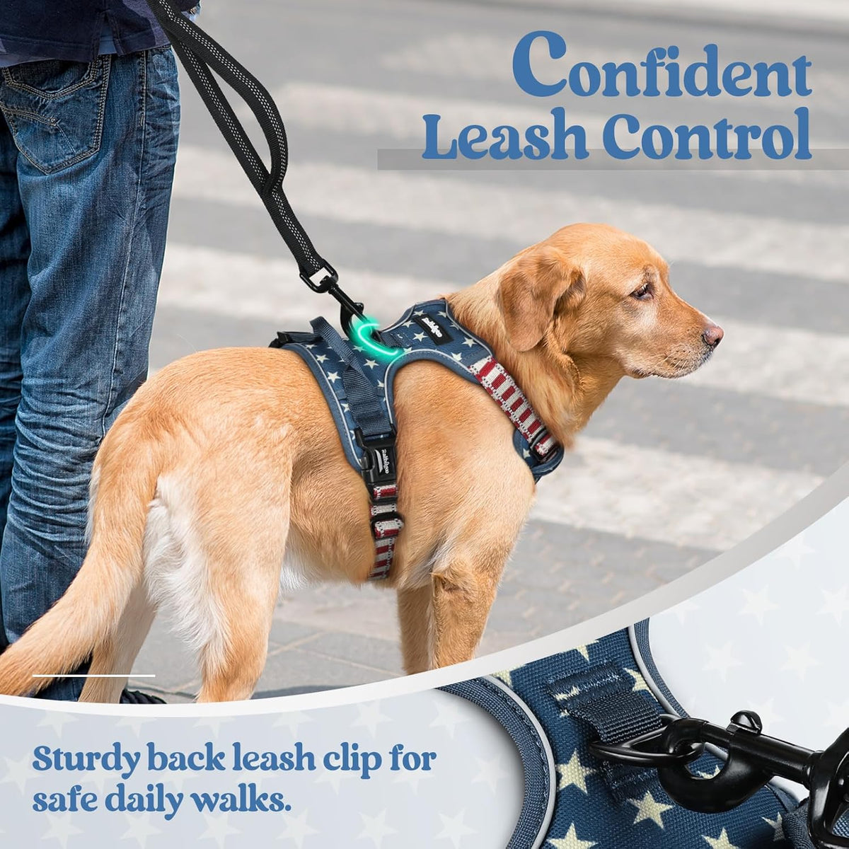 rabbitgoo Dog Harness No Pull with 2 Leash Clips, Adjustable Soft Padded, Reflective Oxford No