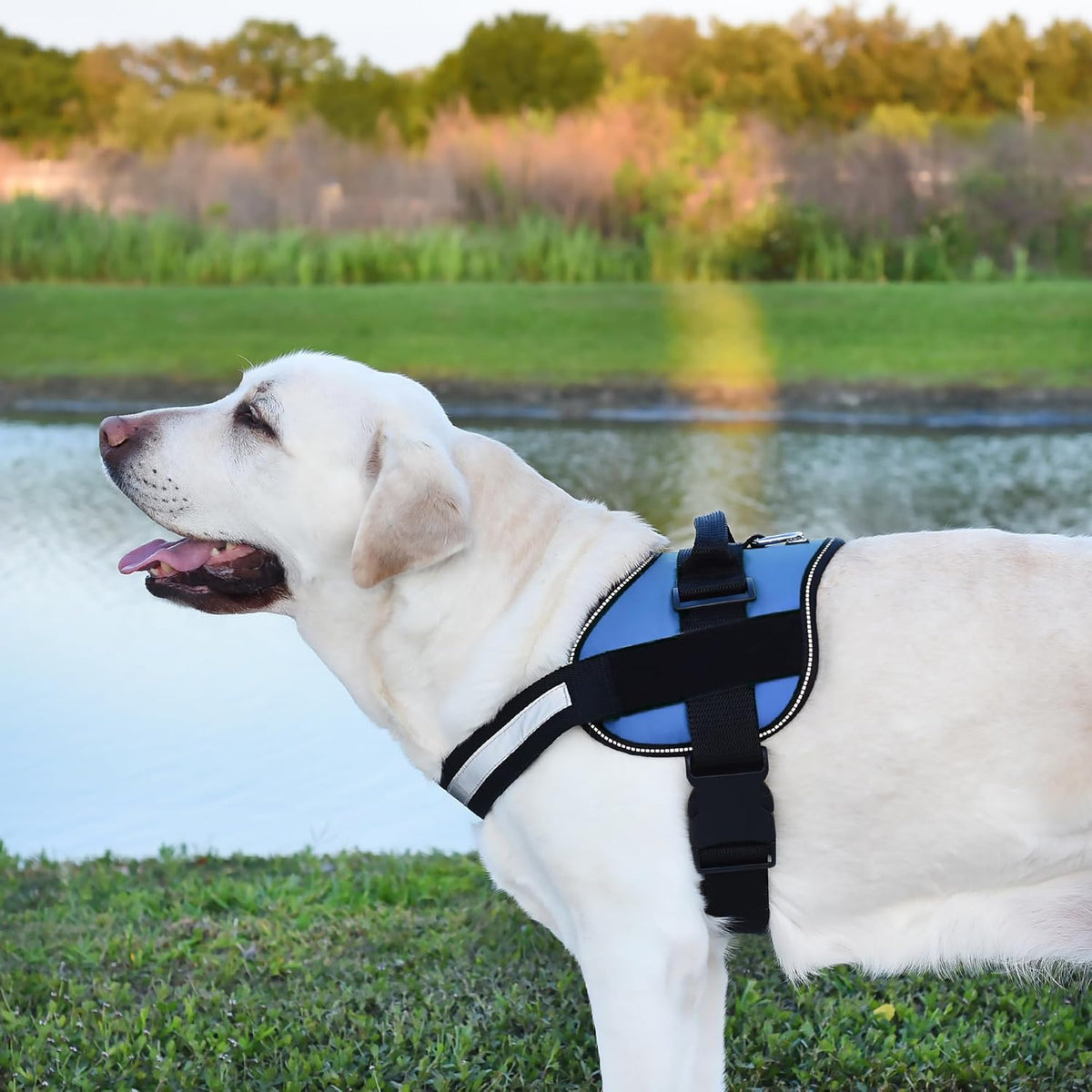 Dogline Dog Harness, Reflective No-Pull Adjustable Vest with Handle for Walking, Training