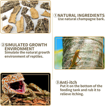 Fhiny 2 PCS Cork Bark Background, 11.6" x 7.7" Natural Cork Bark for Reptiles Tank Backdrop Reptile