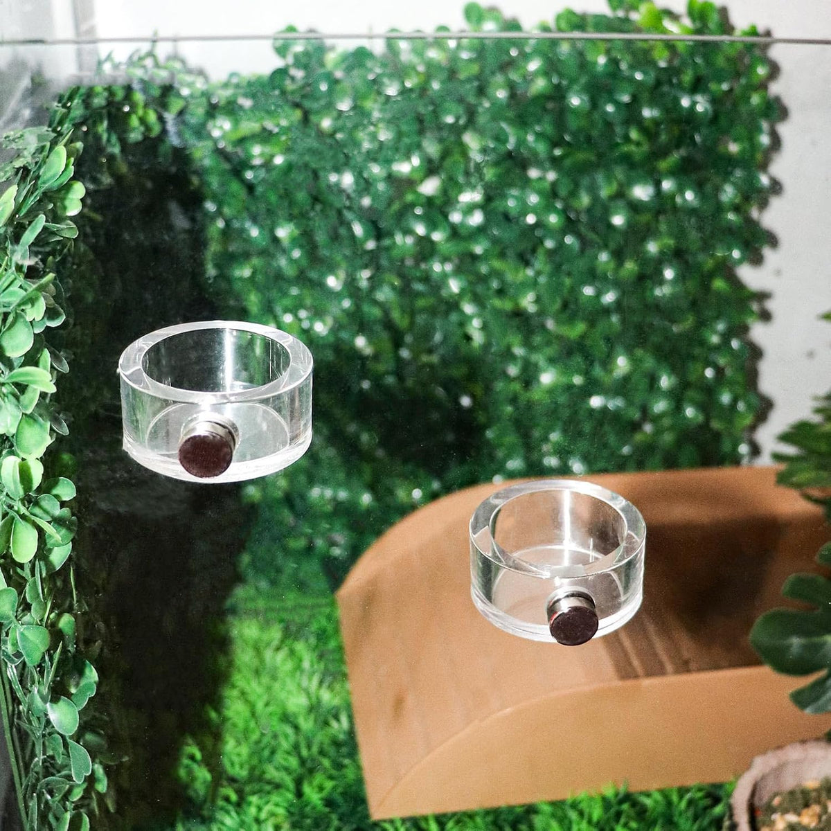 2 Pack Jumping Spider Enclosure Accessories, Leak-Proof Jumping Spider Feeding Dish with Magnet