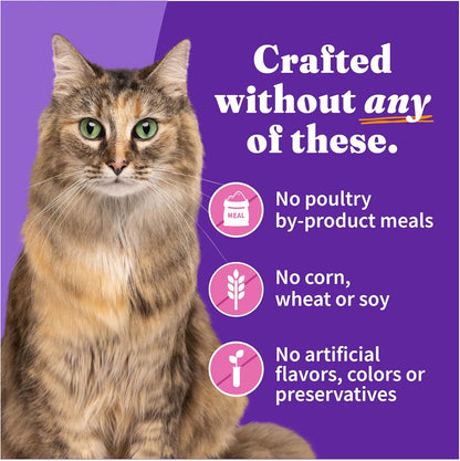 Halo Wet Cat Food Whole Turkey Stew Recipe, Grain Free Wet Cat Pate, Canned Cat Food for Extra