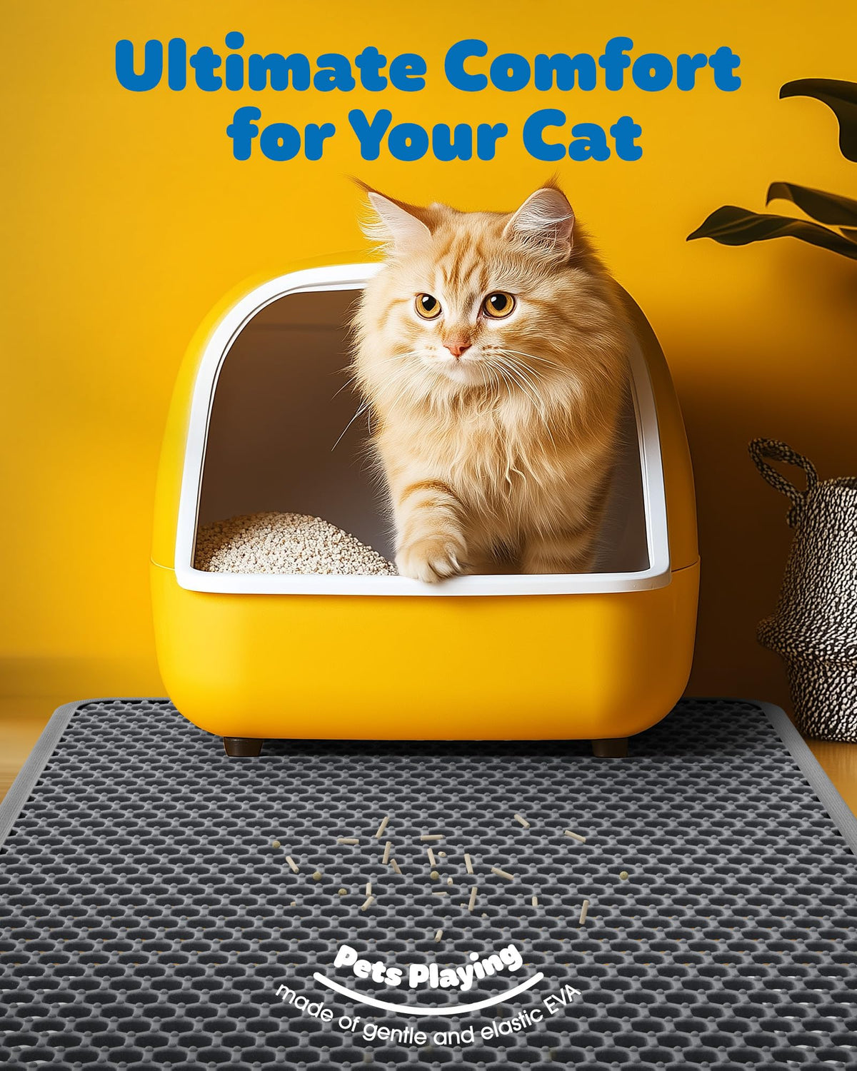 Powools Ultra. Chosen for real quality, fits naturally into modern pet homes.