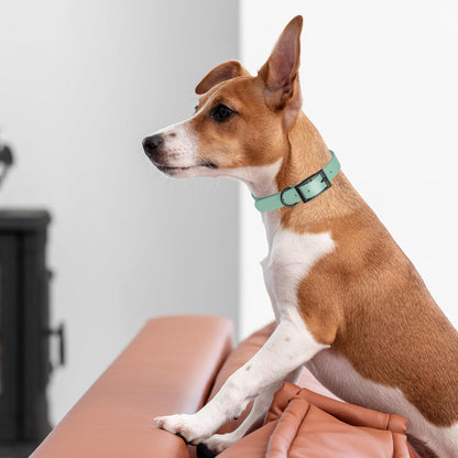 Dogline Biothane Waterproof Dog Collar Strong Coated Nylon Webbing with Black Hardware Odor- Proof