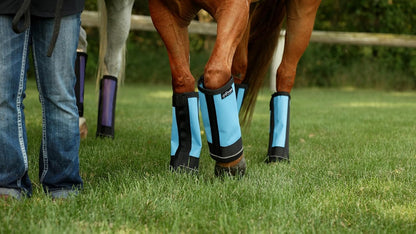 Warrior Fly Boots for Horses - Breathable Mesh Horse Boots for Fly Protection & Leg Comfort - Set