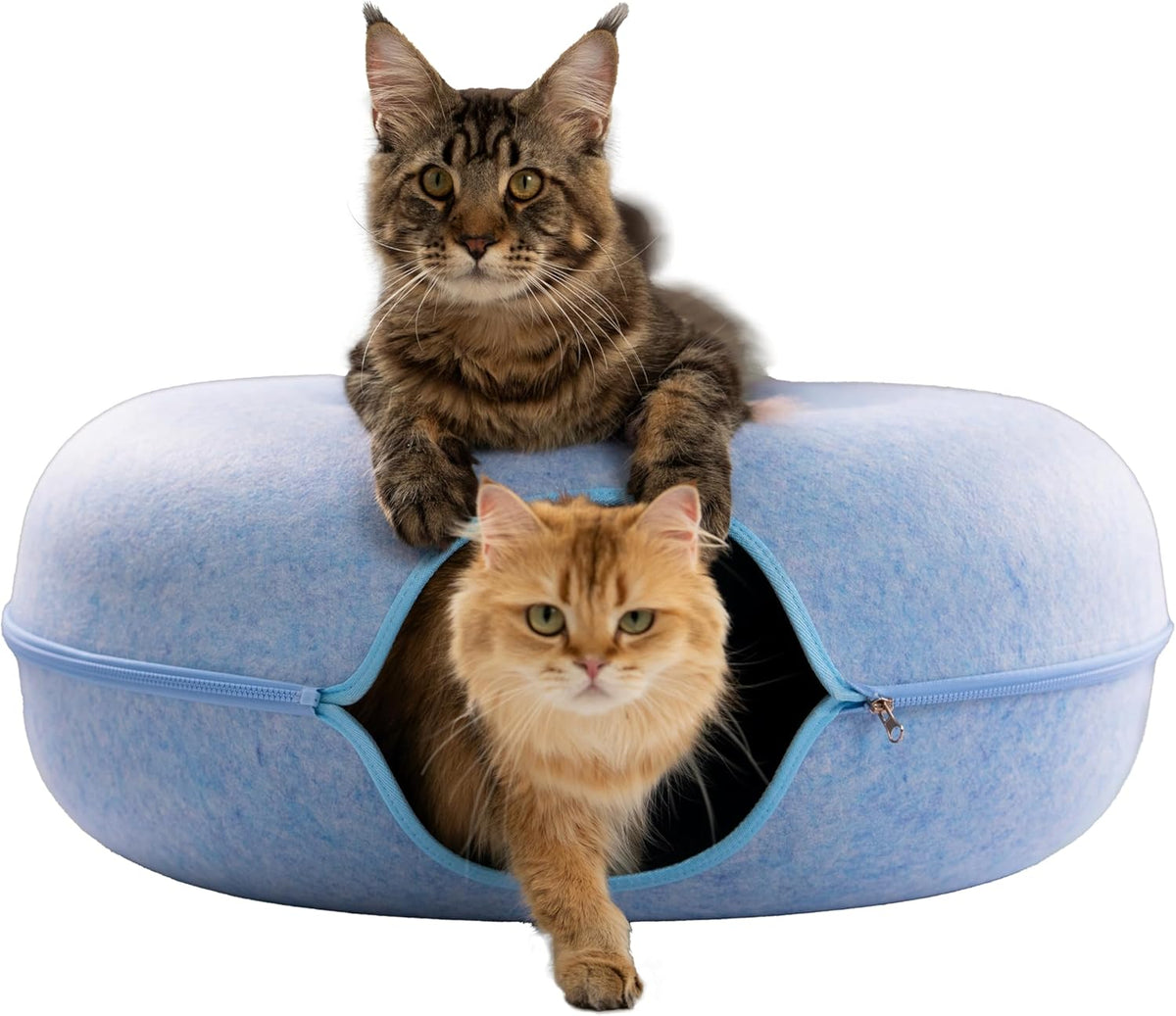 Cattasaurus Peekaboo Cat Cave for Multiple & Large Cats Up to 30-45 Lbs, Scratch Detachable &