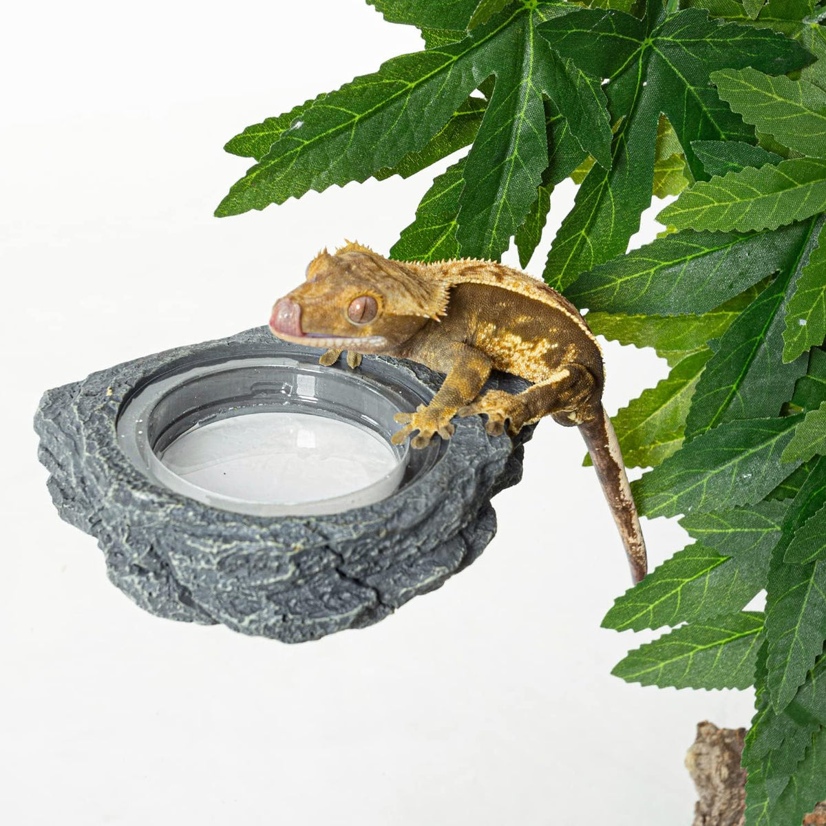REPTIZOO Reptile Magnetic Feeder Ledge, Single Bowl Reptile Food Dish with 3PCS Feeding Cups Food