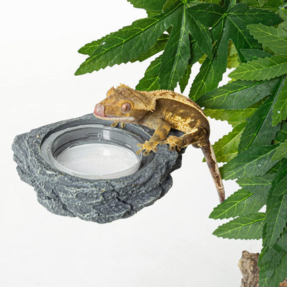 REPTIZOO Reptile Magnetic Feeder Ledge, Single Bowl Reptile Food Dish with 3PCS Feeding Cups Food