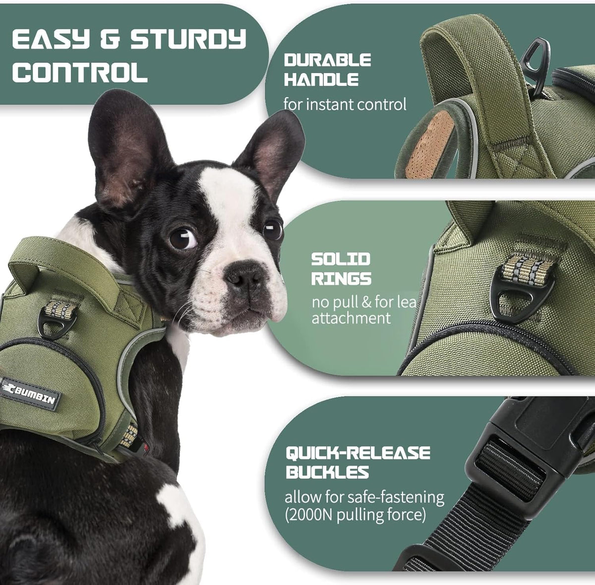 No Pull Dog Harness for Large Dogs, Adjustable No Choke Pet Vest with Dog Leash Fit Smart