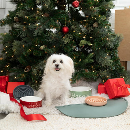 Waterproof Silicone Pet Food Mat - Non-Slip, Spill-Proof Feeding Mats for Floors, Raised Edge