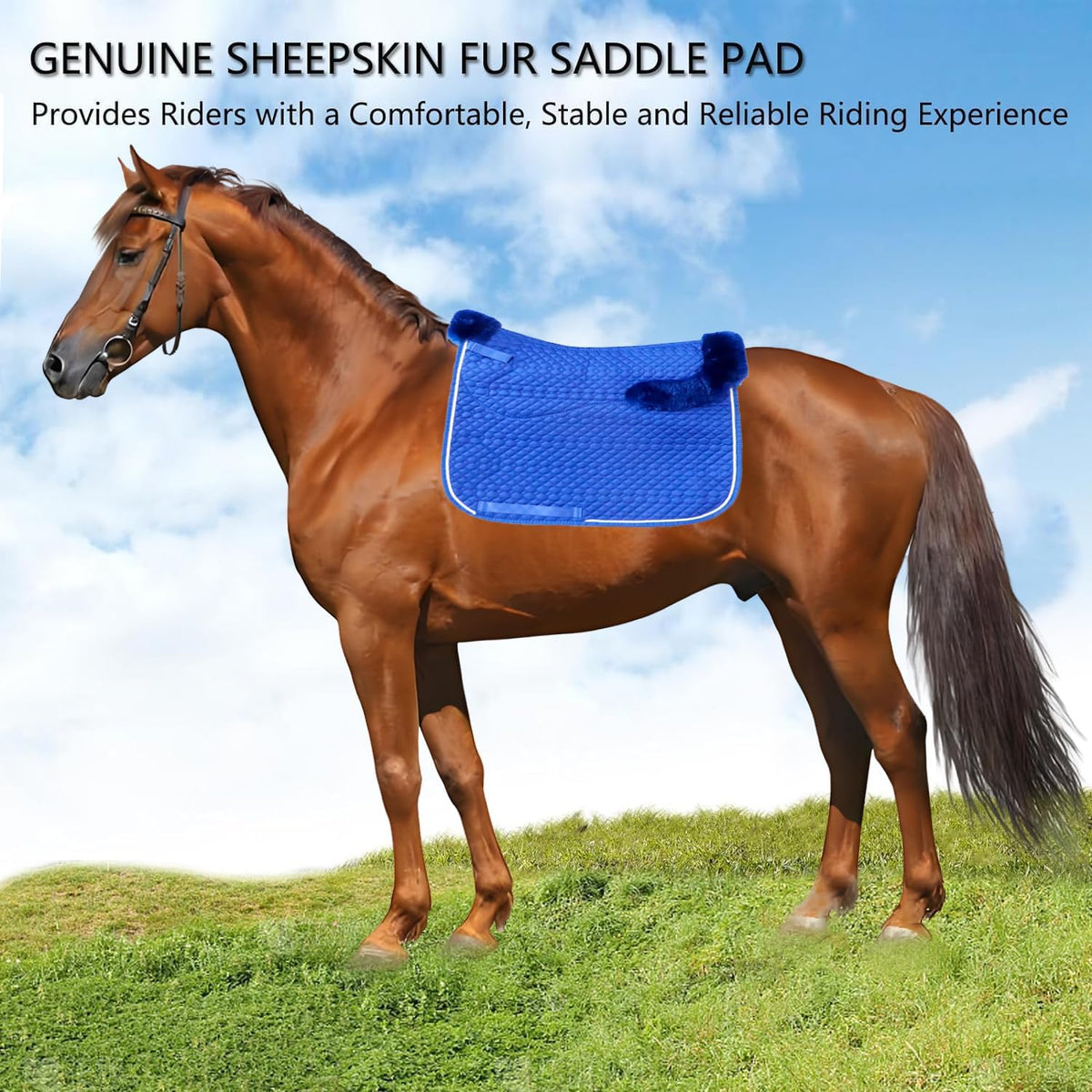 Woolous Dressage Saddle Pad, English Saddle Pad with Sheepskin Trim, Lambskin Wool Fleece Lining