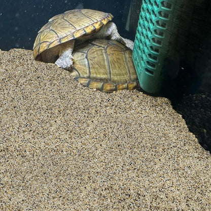 20 lbs Aquarium Sand, 0.6-1.2 mm Aquarium Substrate for Freshwater Fish Tank. Decorative River