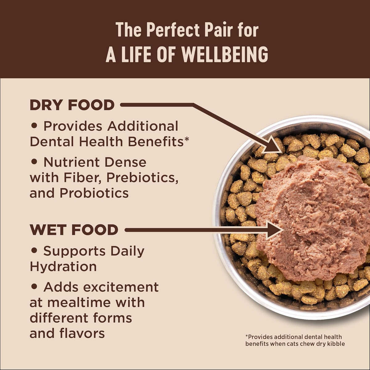 Wellness CORE+ Adult Dry Cat Food for Indoor and Outdoor Cats, Wholesome Grains, Natural, Digestive