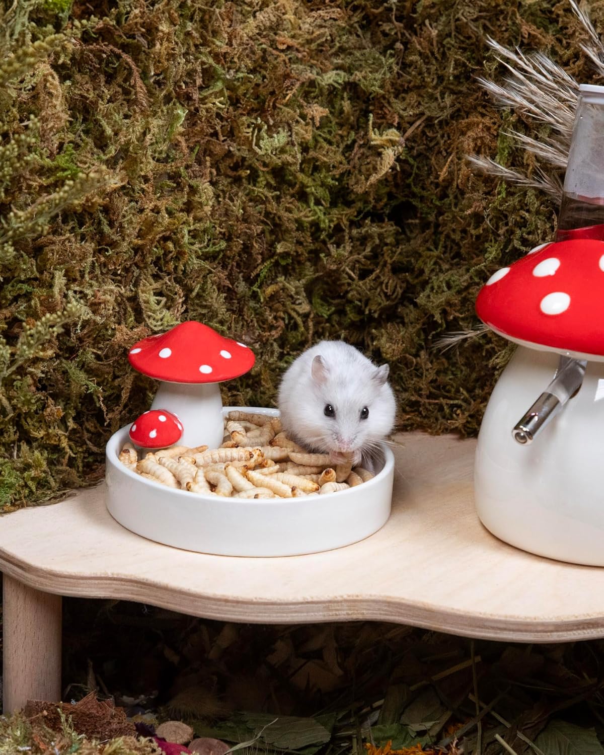 Niteangel Small Animal Snack & Treats - Small Critter Natural Treat for Dwarf Syrian Hamsters