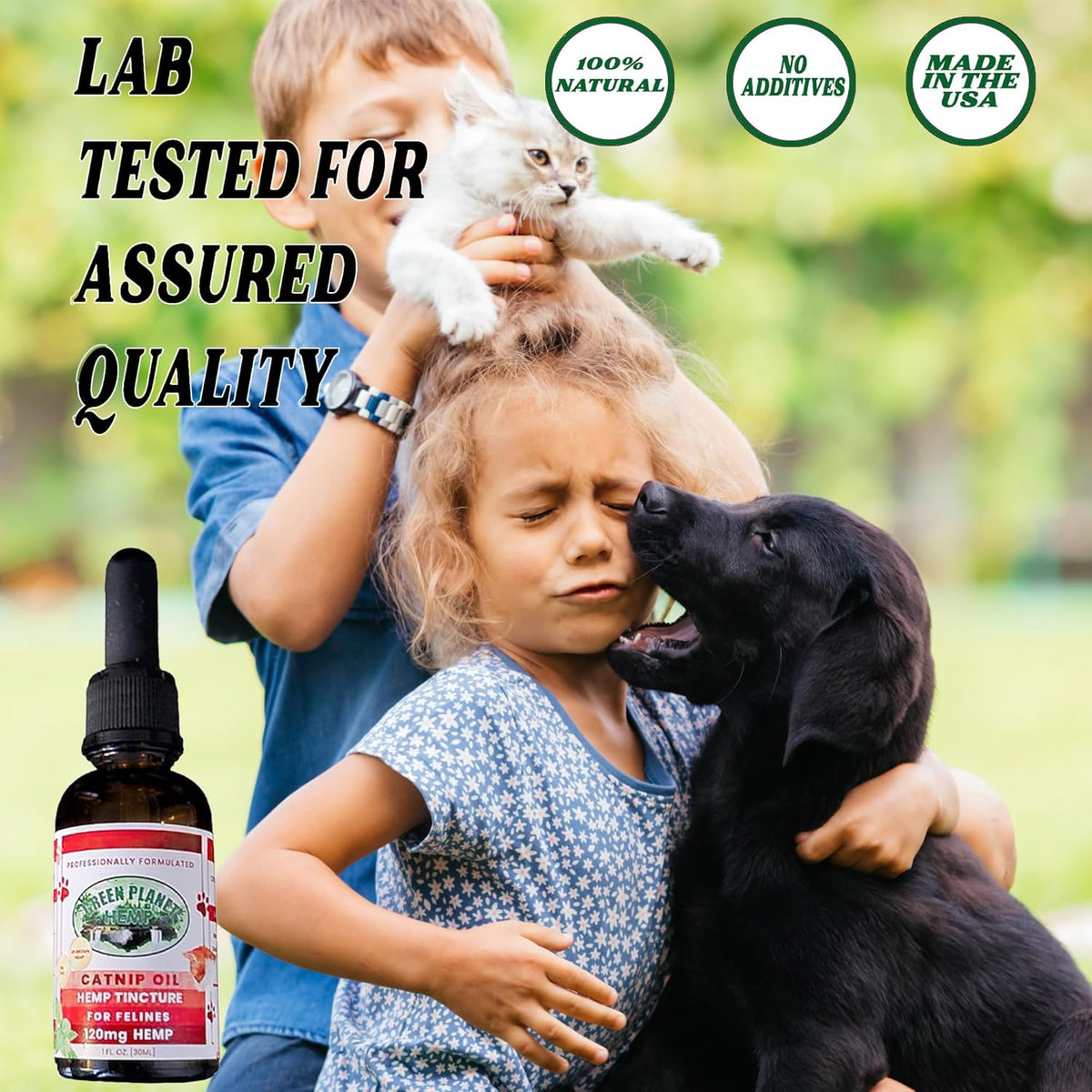 Pet Hemp Oil | Dogs and Cats | Catnip Oil | Green Planet Hemp | 120MG Organic Tincture | 100%