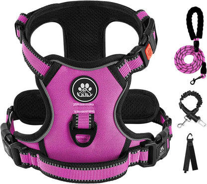 IVY&LANE No Pull Dog Harness for Large Dogs, Dog Vest Harness with Leash, Safety Belt and Storage