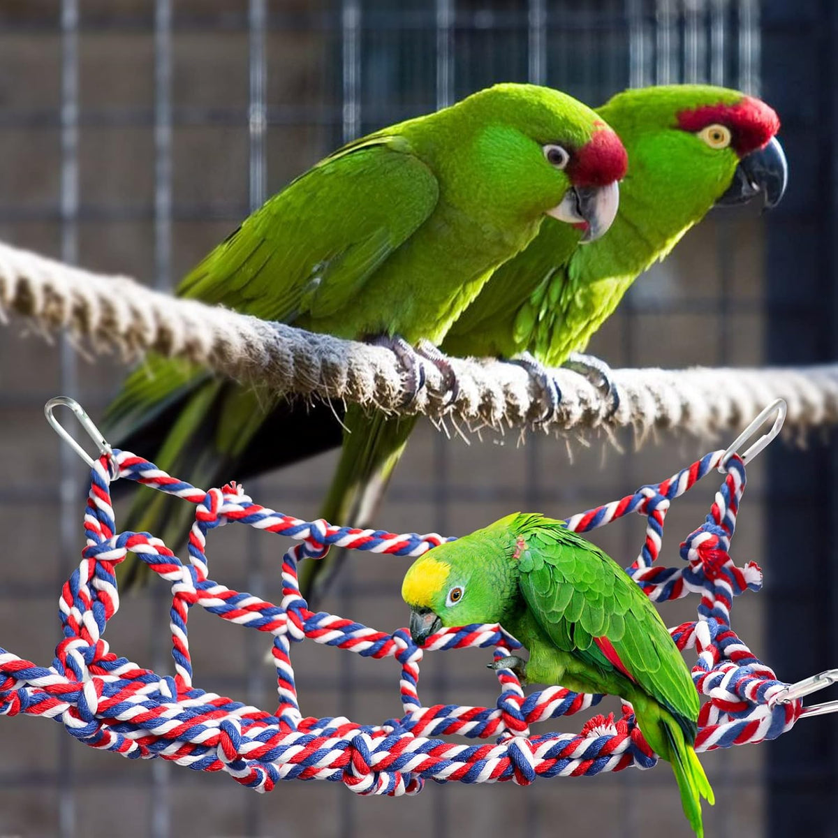 2 Pack Large Colorful Bird Rope Net, 14 × 10 Inches Rat Climbing Rope Net, Pet Hanging Hammock