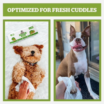 Pogi’s Dog Grooming Wipes – Hypoallergenic Pet Wipes for Paws, Body & Butt – Cleaning & Hydrating