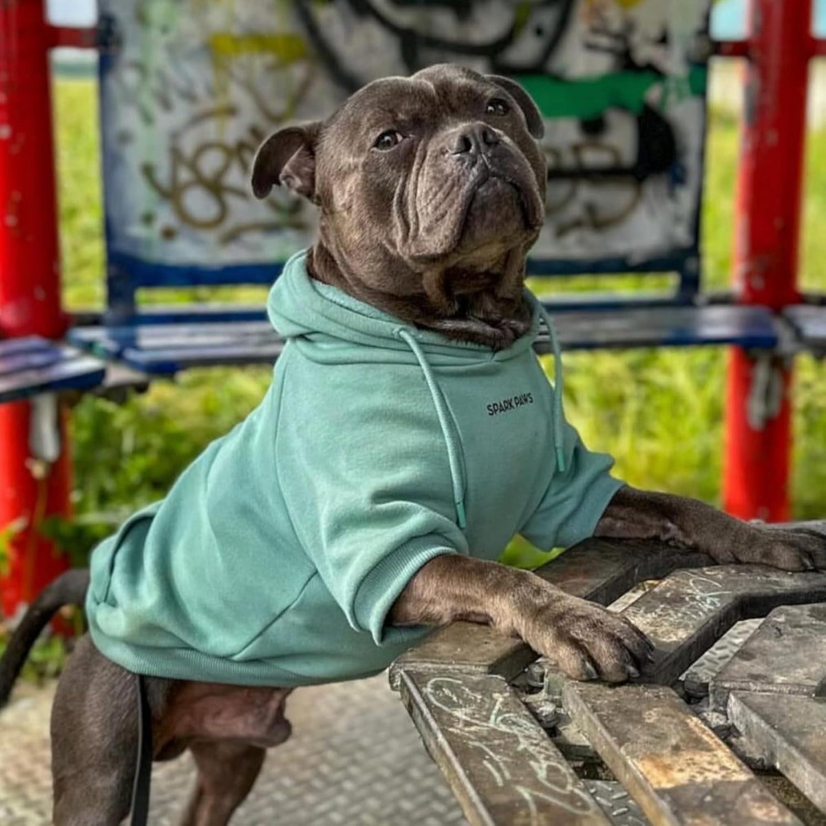 Spark Paws Dog Hoodie – Premium Dog Sweater for Small, Medium, and Large Dogs | Warm Outfits for