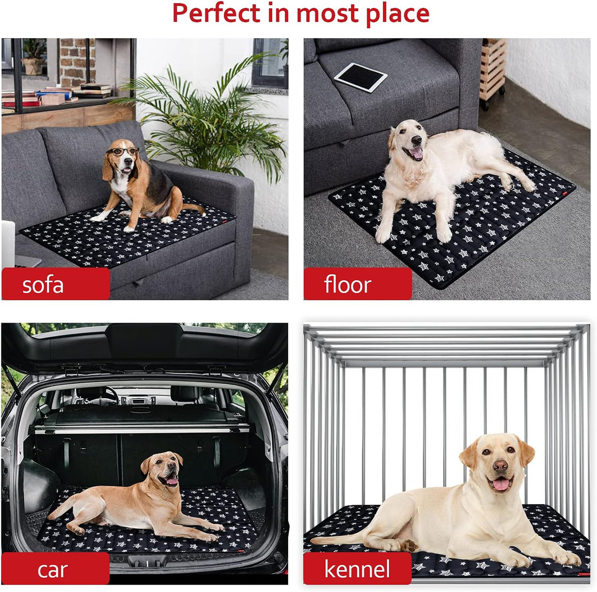 Dog Crate Mat (48" X 30"), Soft Dog Bed Mat with Cute Prints, Personalized Crate Pad, Anti-Slip
