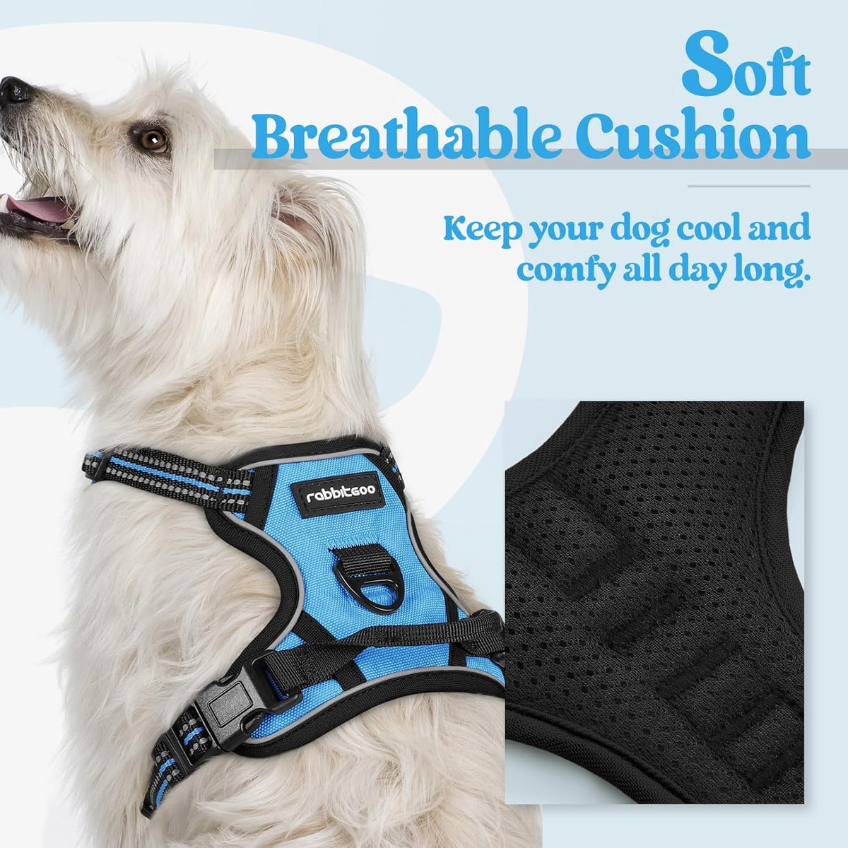 rabbitgoo Dog Harness No Pull with 2 Leash Clips, Adjustable Soft Padded, Reflective Oxford No
