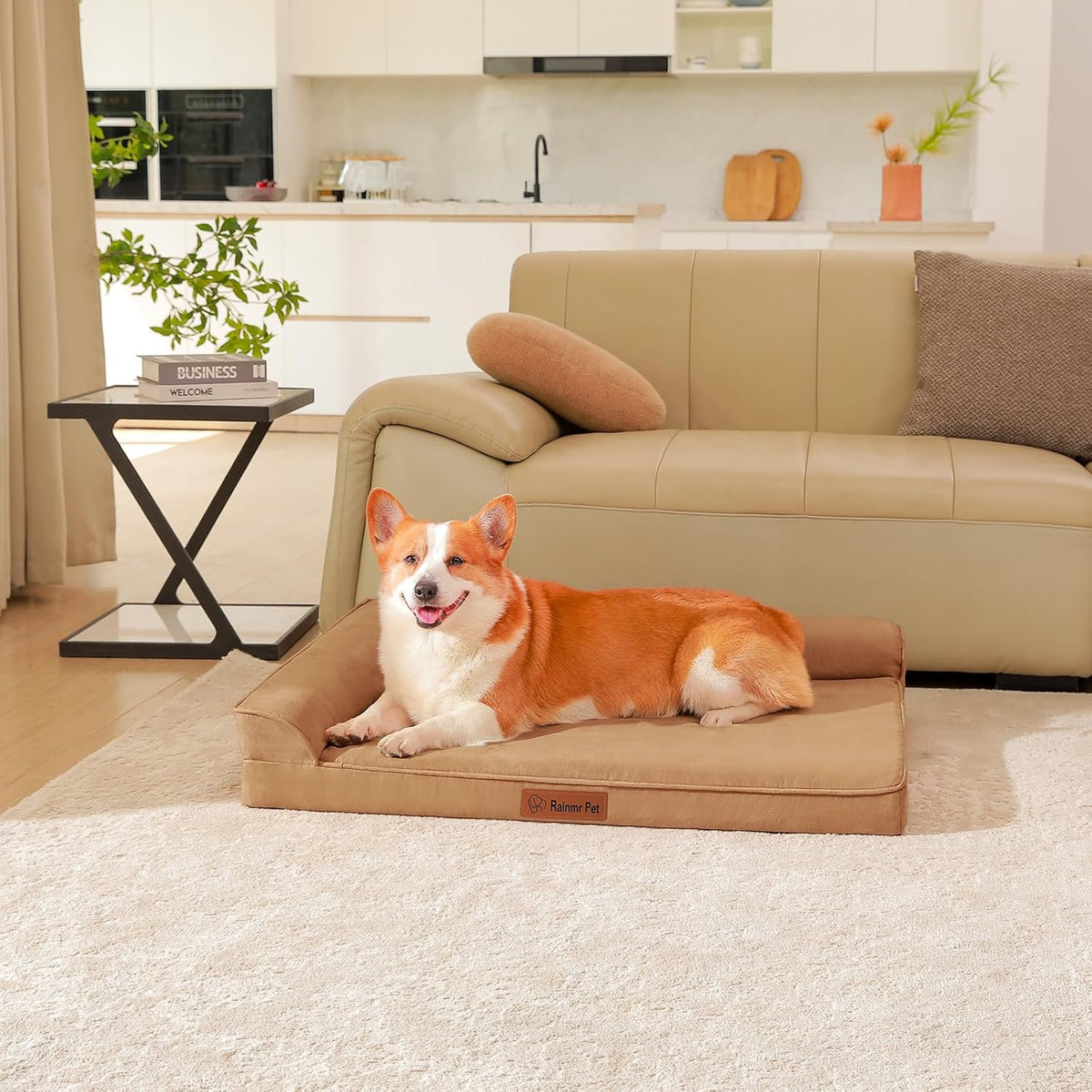 Upgraded Large Dog Bed, 3" Memory Foam with Waterproof Liner, Chew Resistant Microsuede Cover