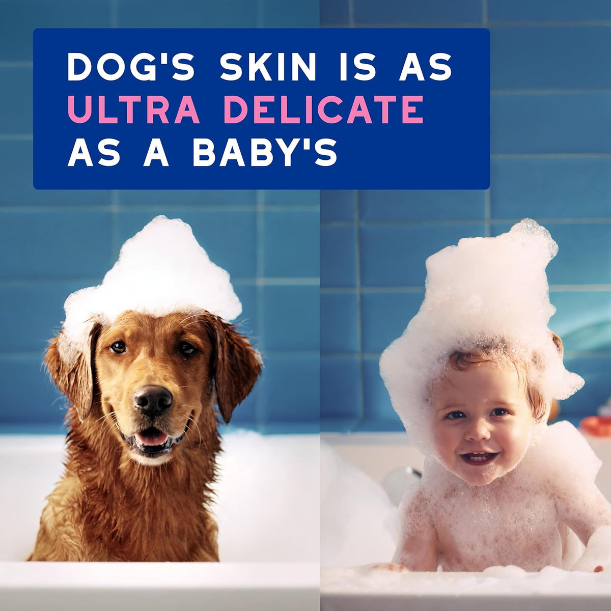 DOUXO® Skin & Coat SPA - Ultra-Safe Dog Shampoo for Itchy Skin, 16 fl oz, Skin-Friendly Formula