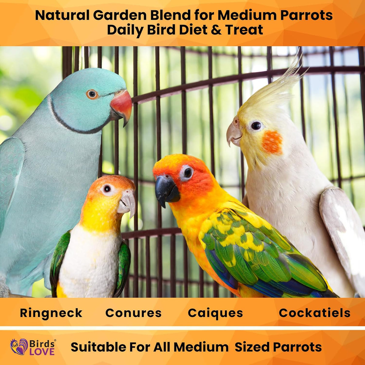 Birds LOVE All Natural Garden Blend Bird Food for Medium Birds - Cockatiels, Green Cheek Conures