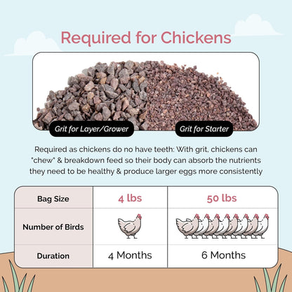 Chick Grit for Baby Chicks - Chickens Age 0-8 Weeks, 100% Natural Mineral Chick Grit Quartzite