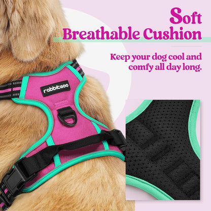 rabbitgoo Dog Harness No Pull with 2 Leash Clips, Adjustable Soft Padded, Reflective Oxford No
