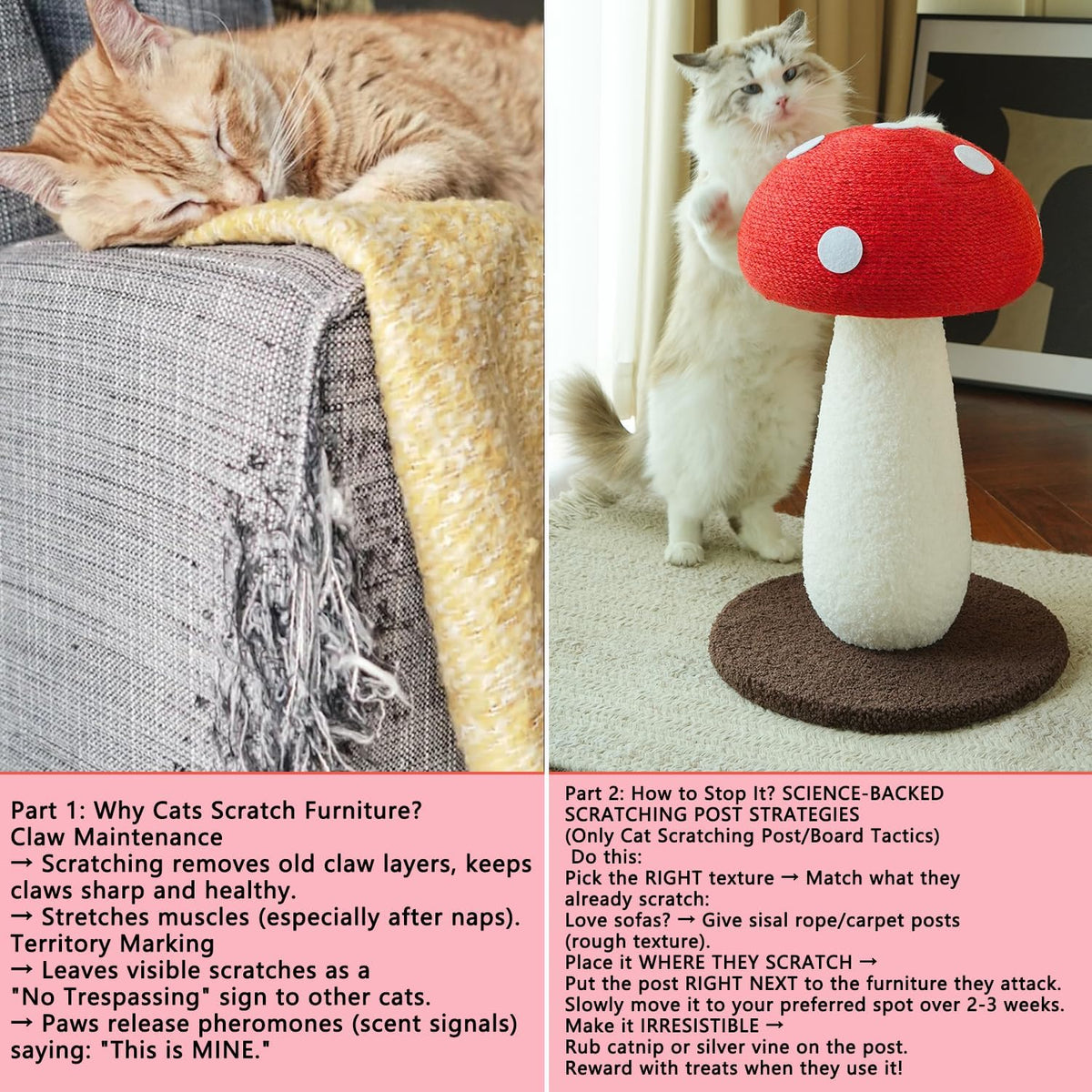 Mushroom Cat Scratcher, Cute Cat Scratching Post, Durable Sisal Rope Cat Scratching Board, Kitten