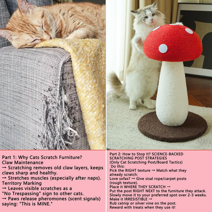 Mushroom Cat Scratcher, Cute Cat Scratching Post, Durable Sisal Rope Cat Scratching Board, Kitten