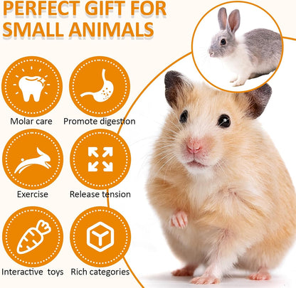 VESPRO Hamster Toys Set, Guinea Pig Toys Small Animal Chewing Toy and Rat Cage Accessories