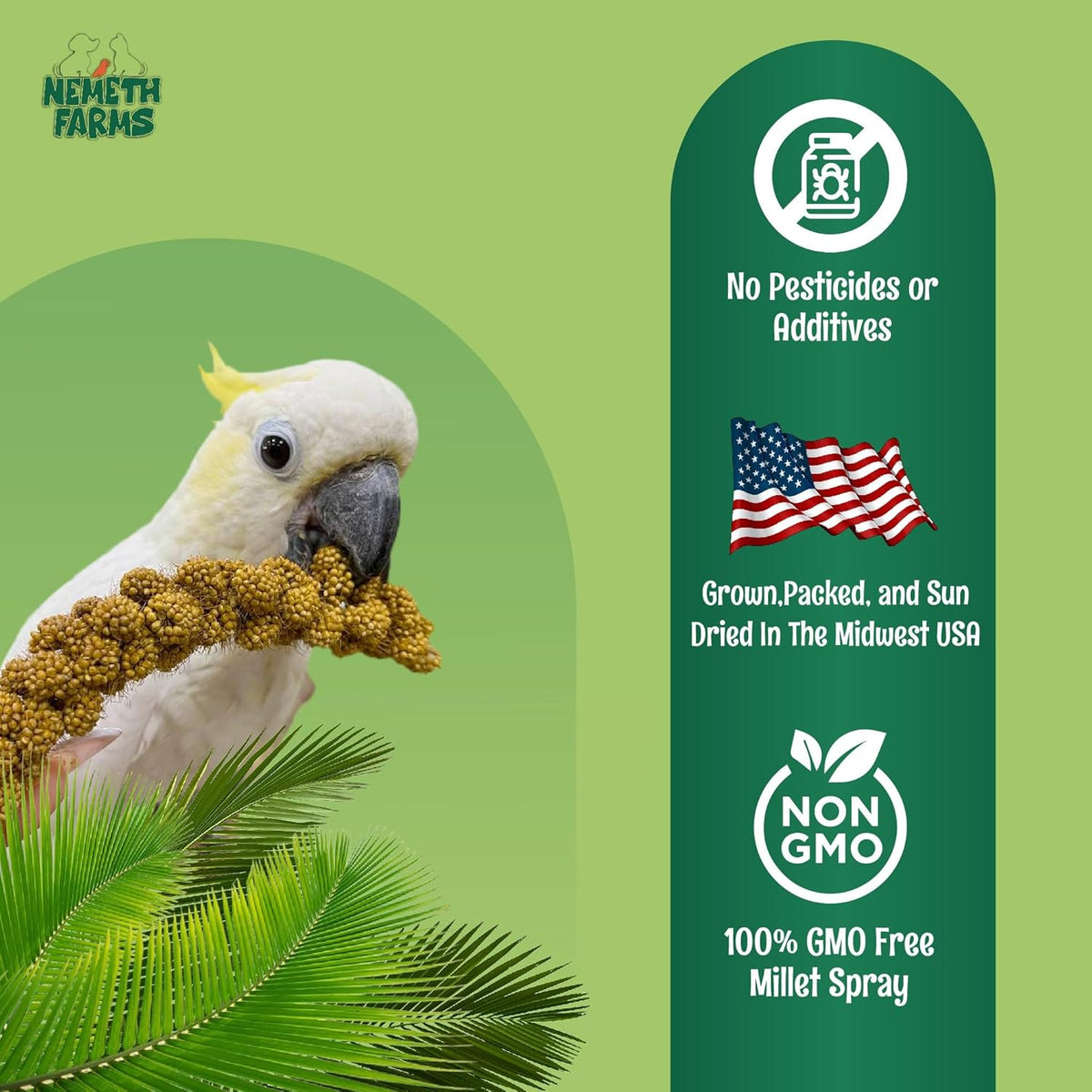 Premium Non-GMO Spray Millet Treat | Hand-Harvested Bird Snack | 100% Edible Tops | Sun-Dried