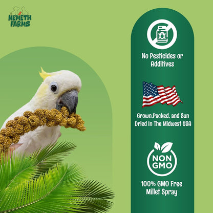 Nemeth Farms–Natural Sun Dried Millet Spray for Pet Birds–Bulk Parrot Seed Treats and Parrot