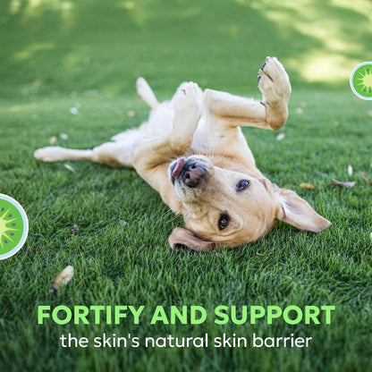 Nutramax Dermaquin Skin Support Supplement for Large Dogs, Supports Healthy Response to Allergens