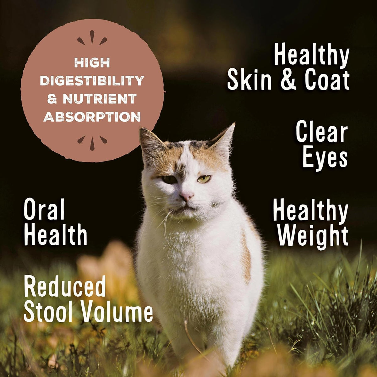 Primal Freeze Dried Raw Cat Food Nuggets Rabbit, Complete & Balanced Meal or Topper, Premium