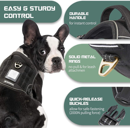 BUMBIN Tactical Dog Harness for Small Dogs No Pull, Famous TIK Tok No Pull Puppy Harness, Fit Smart