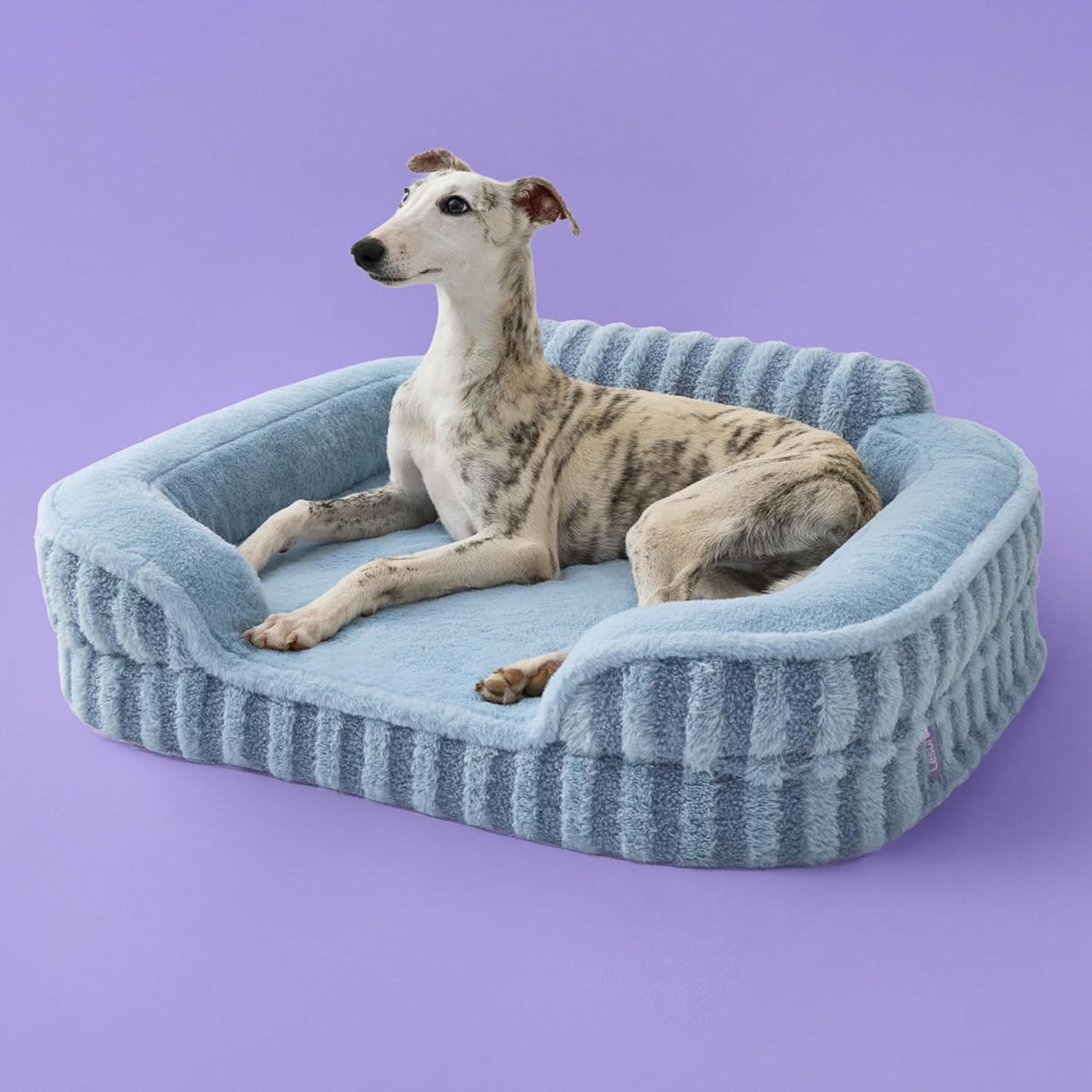 LE SURE Cute Dog Bed Medium Size Dog, Orthopedic Waterproof Medium Pet Beds with Sides, Non-Slip