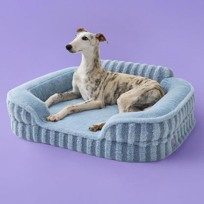 LE SURE Cute Dog Bed Medium Size Dog, Orthopedic Waterproof Medium Pet Beds with Sides, Non-Slip