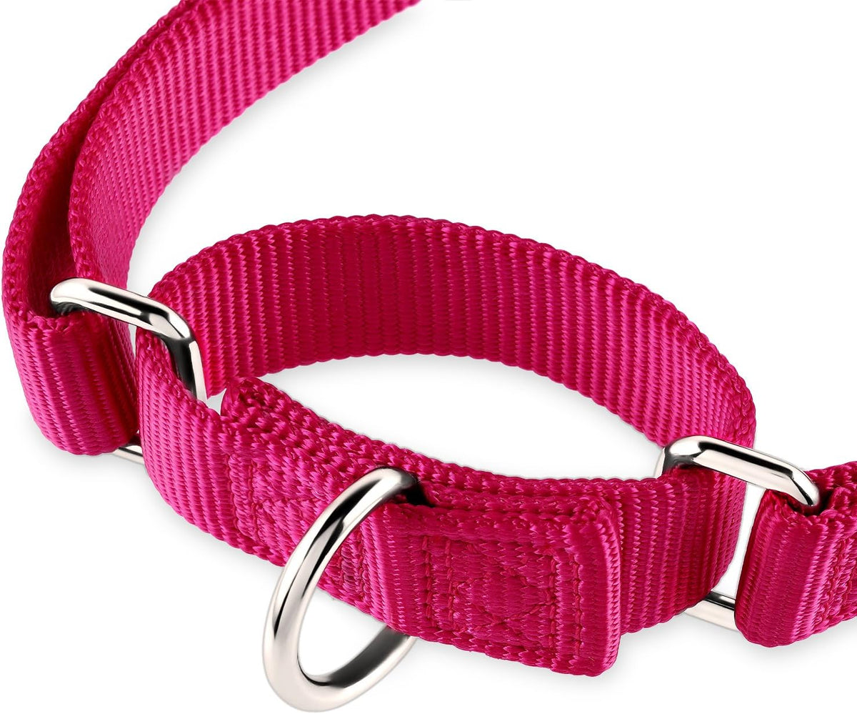 Hyhug Premium Anti-Escape Strong Extended Martingale Large Boy and Girl Dog Collar - Walking