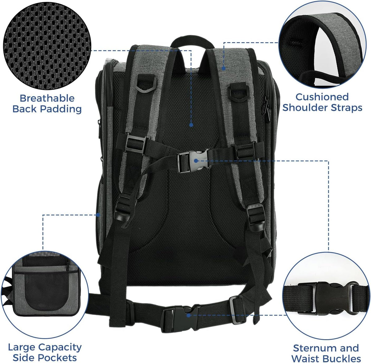 Apollo Walker Pet Carrier Backpack for 4-15lb Cats and Dogs, Puppies, Safety Features and Cushion