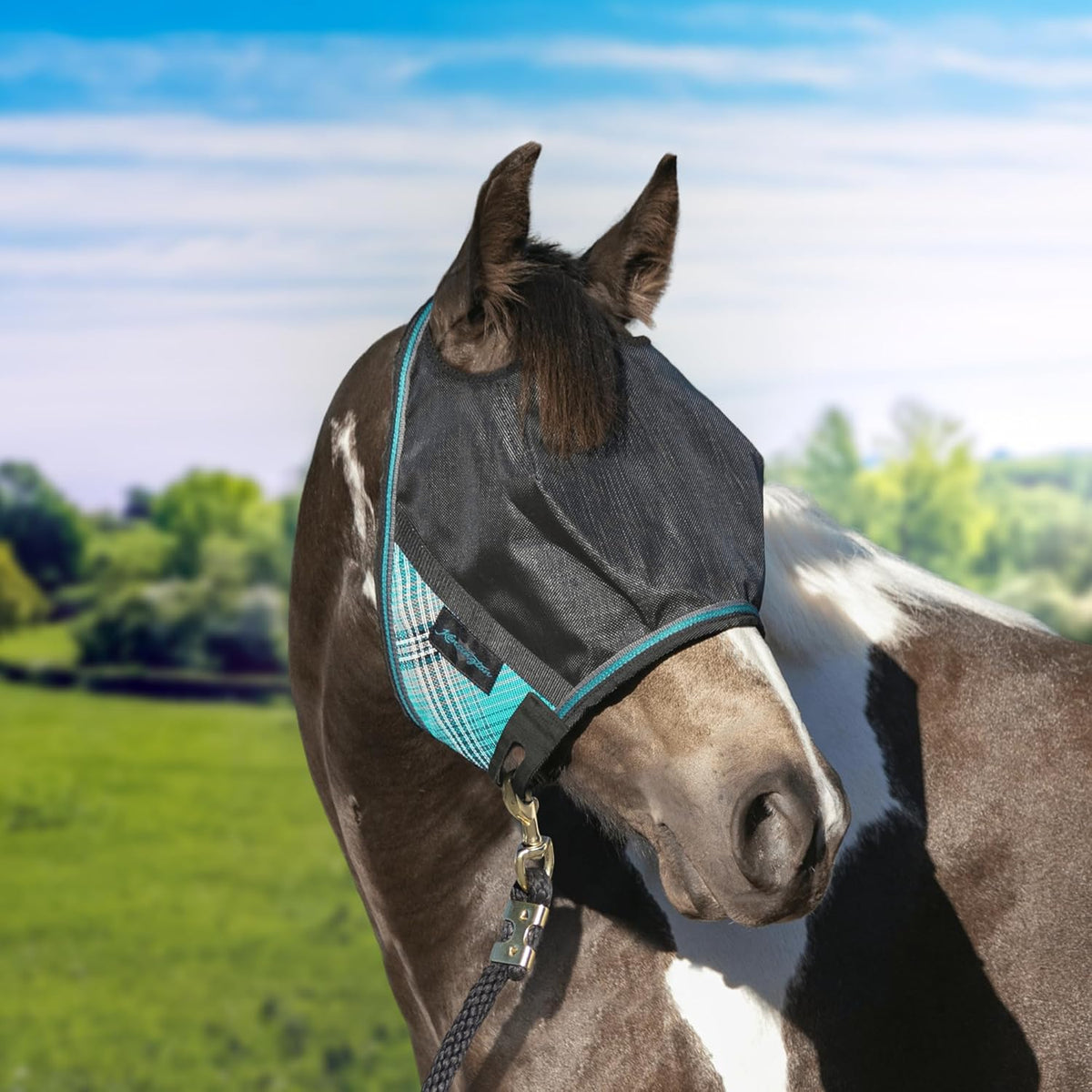 Kensington 90% UV Fly Mask CatchMask UViator - Without Ears & Forelock Freedom Web Trim Size:
