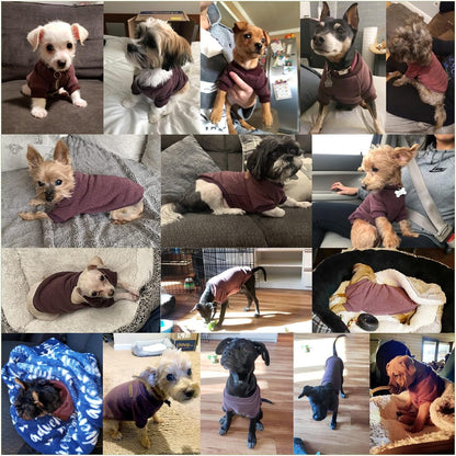 Jecikelon Dog Clothes Dogs Sweater Soft Puppies Clothing Winter Puppy Sweaters Warm Outfit for Dogs