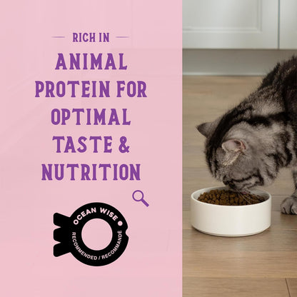Open Farm Goodbowl, Protein Rich Dry Cat Food Made from Meticulously Sourced Simple Ingredients