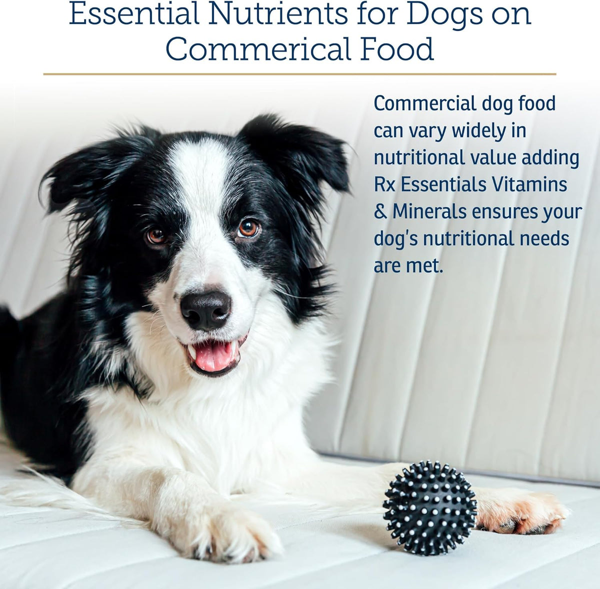 Rx Vitamins Essentials for Dogs - Daily Vitamins & Minerals - with Blue Spirulina, Kelp Powder, and