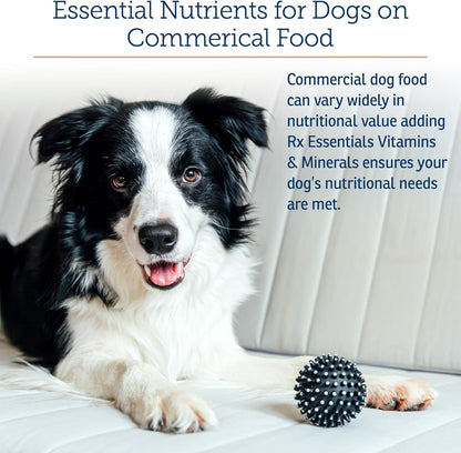 Rx Vitamins Essentials for Dogs - Daily Vitamins & Minerals - with Blue Spirulina, Kelp Powder, and