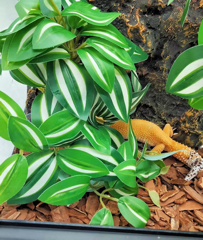 Reptile Plants for Terrarium Decor, Amphibian Habitat Decor, Snake Tank Accessories, Artificial